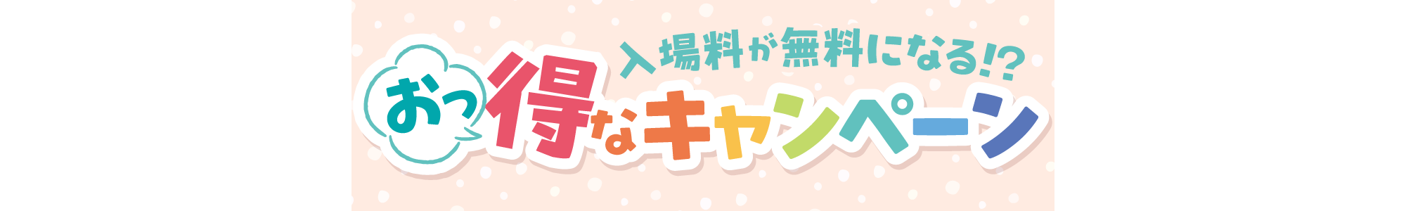 お得なキャンペーン・特典