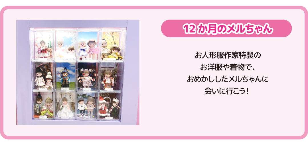 展示