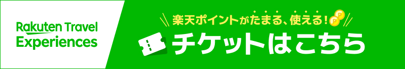 楽天トラベルチケット